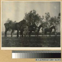 藏品(梁家渡隔河砲戰之戰利品)的圖片